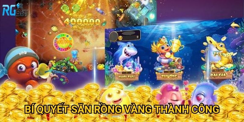 Bí quyết săn rồng vàng thành công