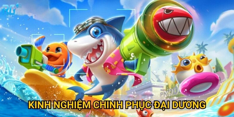 Kinh nghiệm chinh phục đại dương