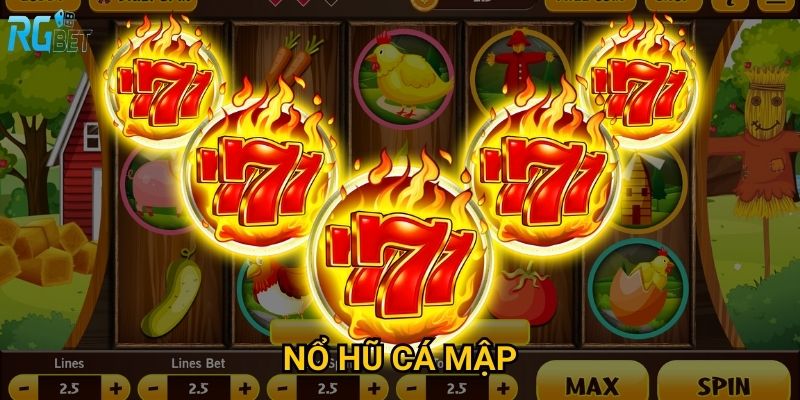 Nổ hũ Cá Mập Rgbet có nguy hiểm như cá mập thật không?