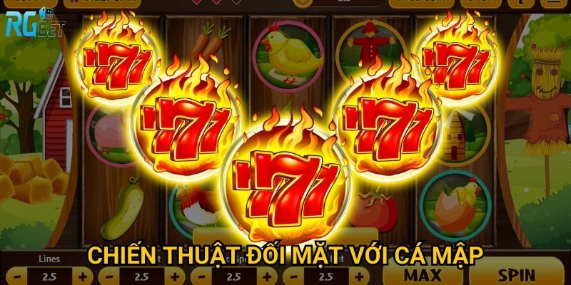 Chiến thuật đối mặt với cá mập
