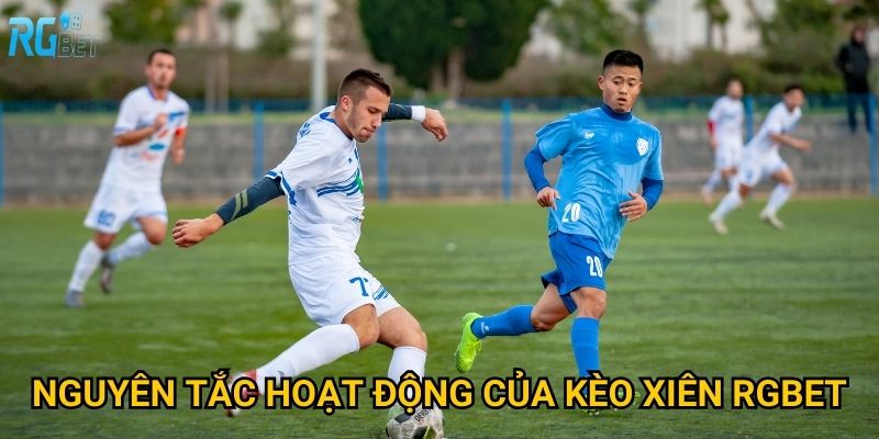 Nguyên tắc hoạt động của kèo xiên Rgbet